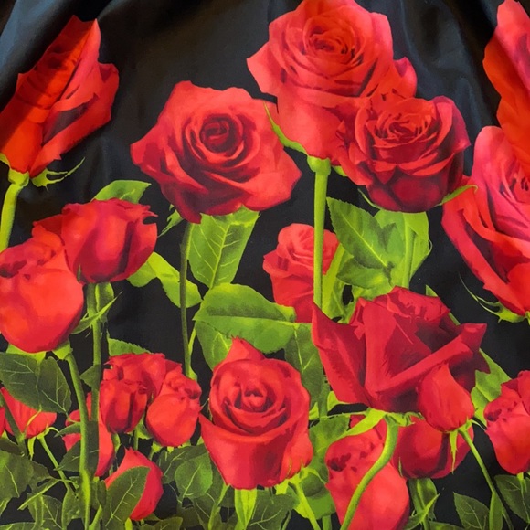 Dress - Picture 2 of 5